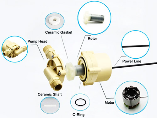 brushless dc pump structure